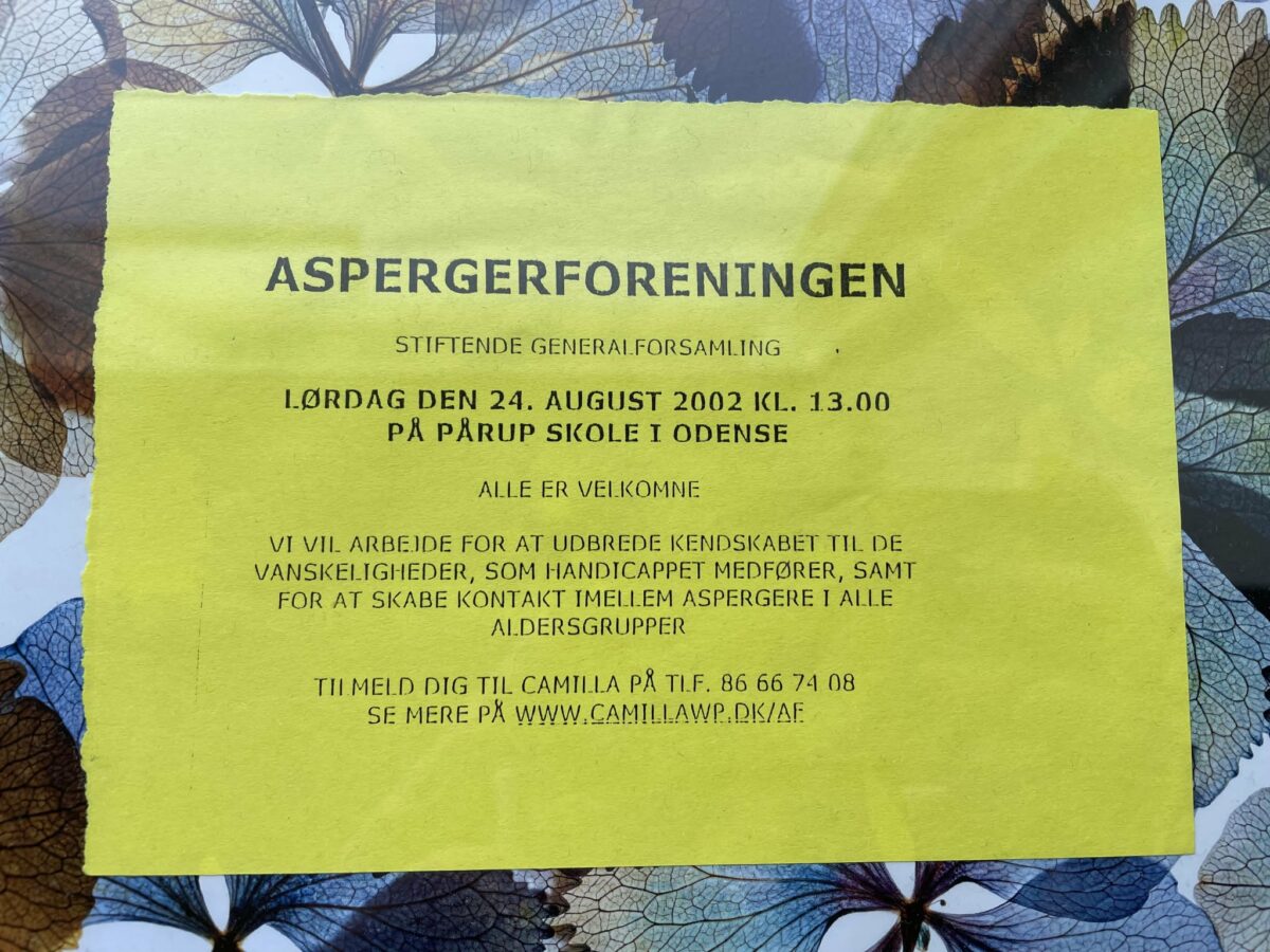 Sitftende generalforsamling 2002 Aspergerforeningen autisme- og Aspergerforeningen